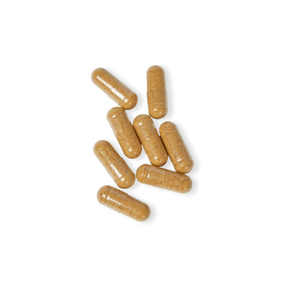 Mushroom Blend Supplement